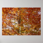 Branches of Orange Leaves Autumn Nature Poster