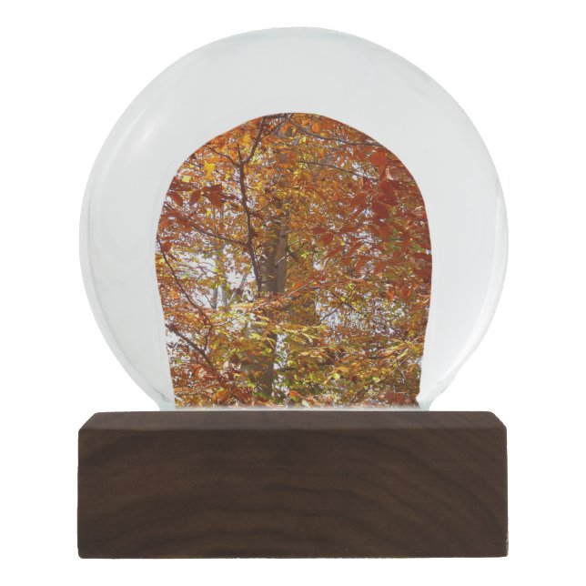 Branches of Orange Leaves Autumn Nature Snow Globe (Front)