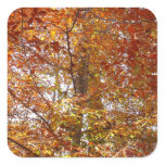 Branches of Orange Leaves Autumn Nature Square Sticker