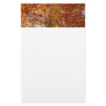 Branches of Orange Leaves Autumn Nature Stationery