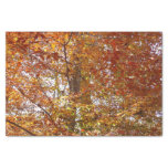 Branches of Orange Leaves Autumn Nature Tissue Paper