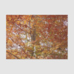 Branches of Orange Leaves Autumn Nature Tissue Paper