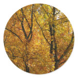 Branches of Yellow Leaves Bright Autumn Colorful Classic Round Sticker