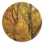 Branches of Yellow Leaves Bright Autumn Colorful Classic Round Sticker
