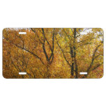 Branches of Yellow Leaves Bright Autumn Colorful License Plate