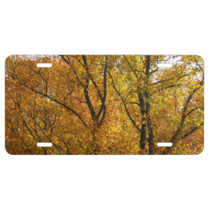 Branches of Yellow Leaves Bright Autumn Colorful License Plate