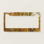 Branches of Yellow Leaves Bright Autumn Colorful License Plate Frame