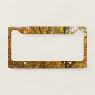 Branches of Yellow Leaves Bright Autumn Colorful License Plate Frame