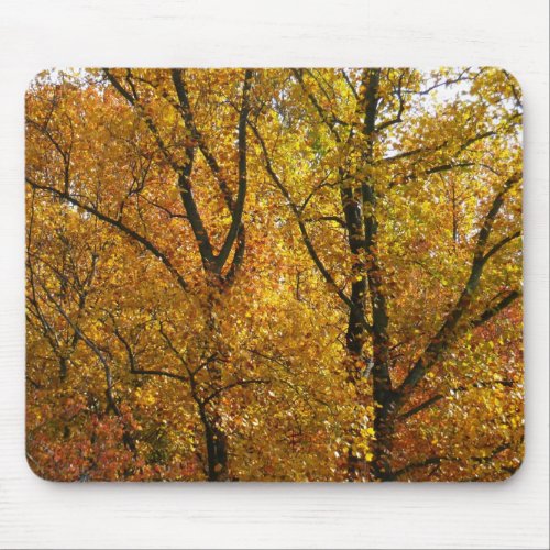 Branches of Yellow Leaves Bright Autumn Colorful Mouse Pad