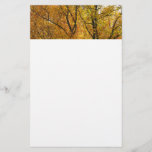 Branches of Yellow Leaves Bright Autumn Colorful Stationery