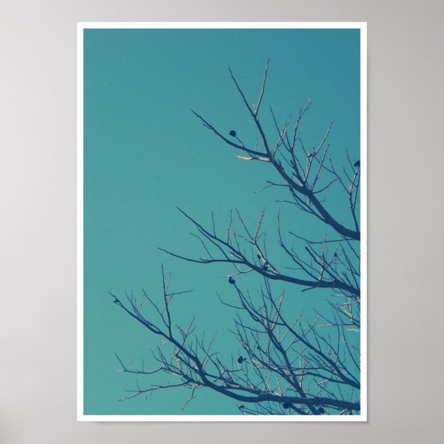 Branches Poster (Front)