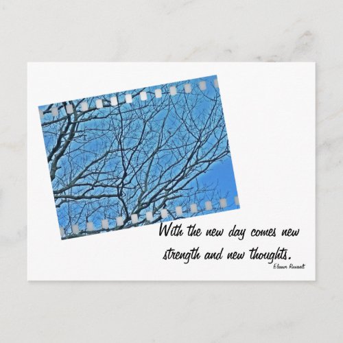 Branches Station _ Roosevelt Quote Postcard