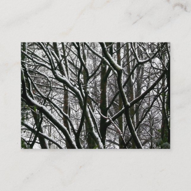 Branches with Snow, Mini Photo Business Card (Front)