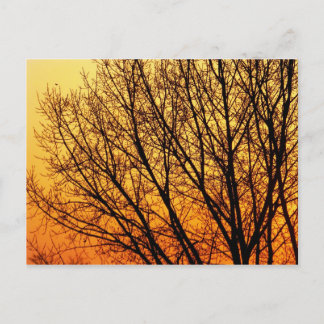 Branching Blank Notecard 1