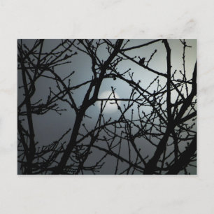 Branching Blank Notecard 2
