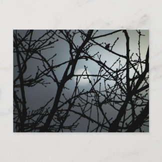 Branching Blank Notecard 2