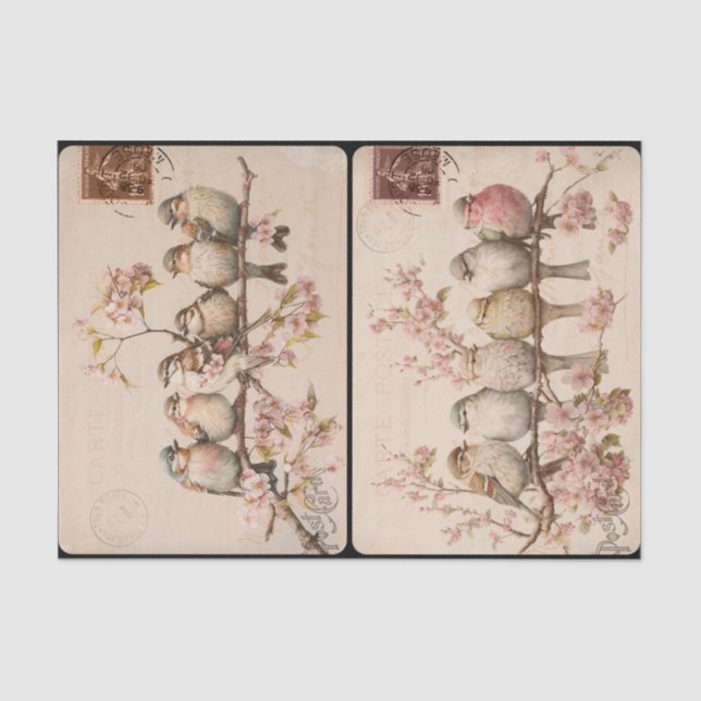 Branchy Birds Tissue Paper (Front)