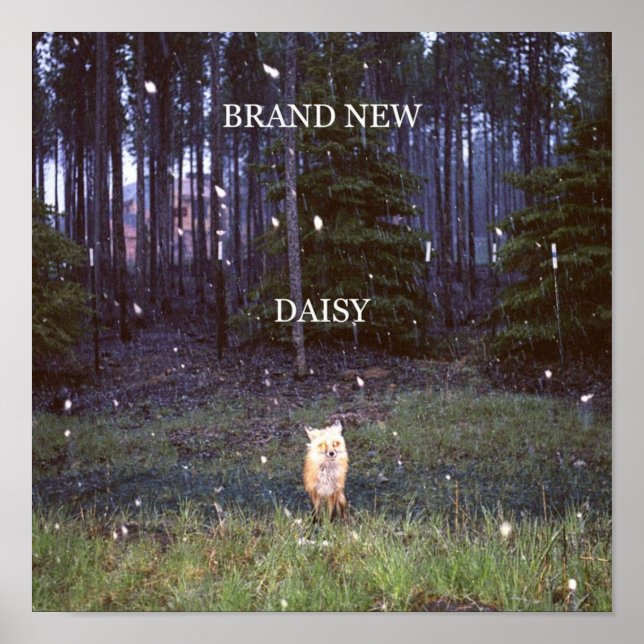 Brand New  Daisy Poster (Front)