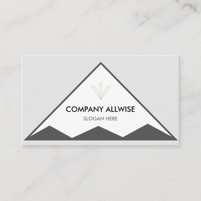 Branded Triangles on Silver Gray & White Business Card (Front)