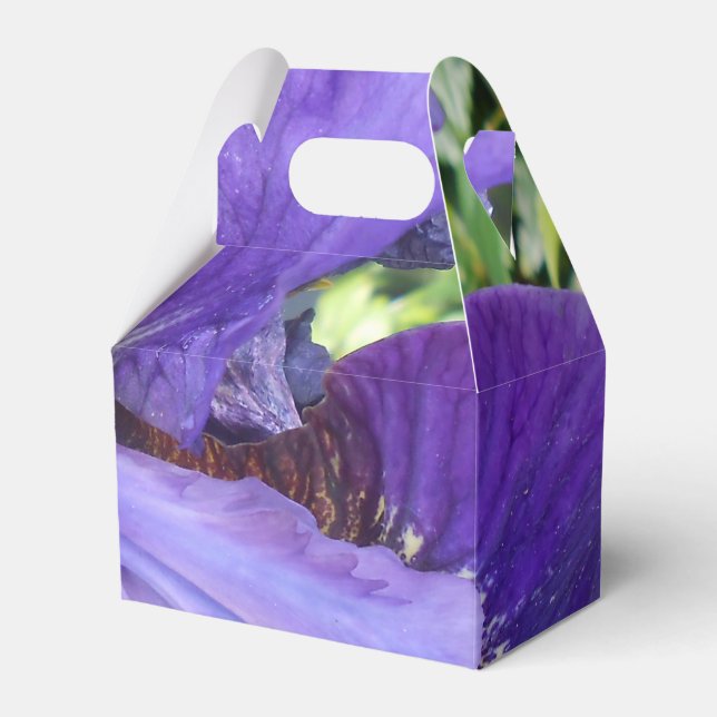 Brandeis Favor Boxes (Front Side)