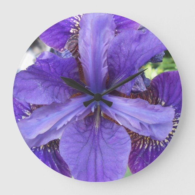 Brandeis Large Clock (Front)