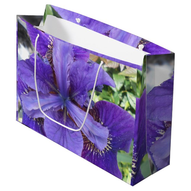 Brandeis Large Gift Bag (Front Angled)