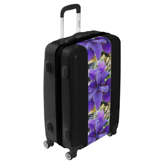 Brandeis Luggage (Rotated Left)