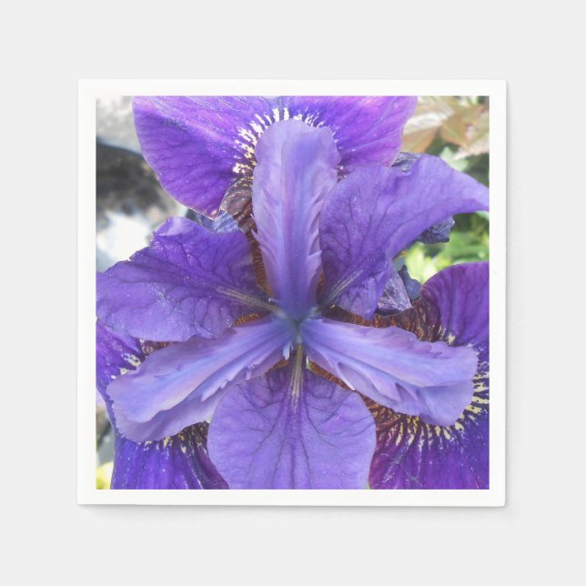 Brandeis Paper Napkins (Front)