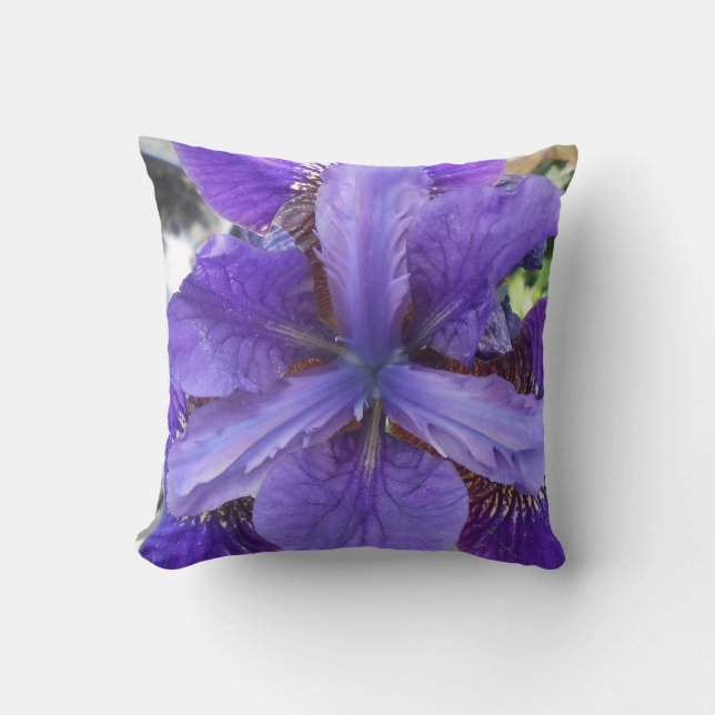 Brandeis Throw Pillow (Front)