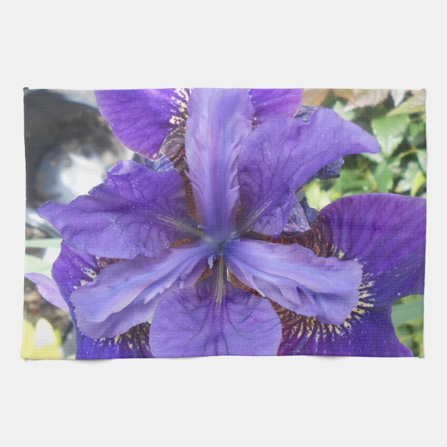 Brandeis Towel (Horizontal)