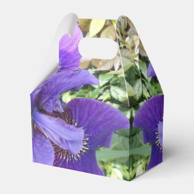 Brandels Favor Boxes (Front Side)