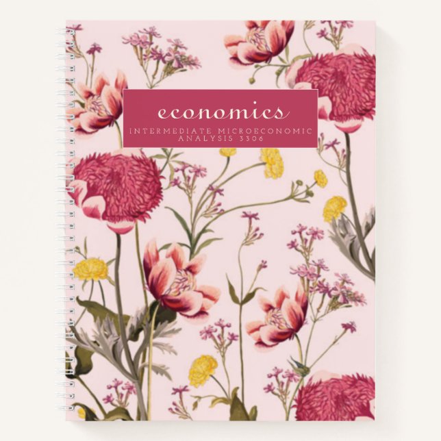 brandes economics notebook (Front)