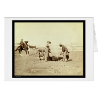 Branding Calves On Roundup SD 1888 Cards