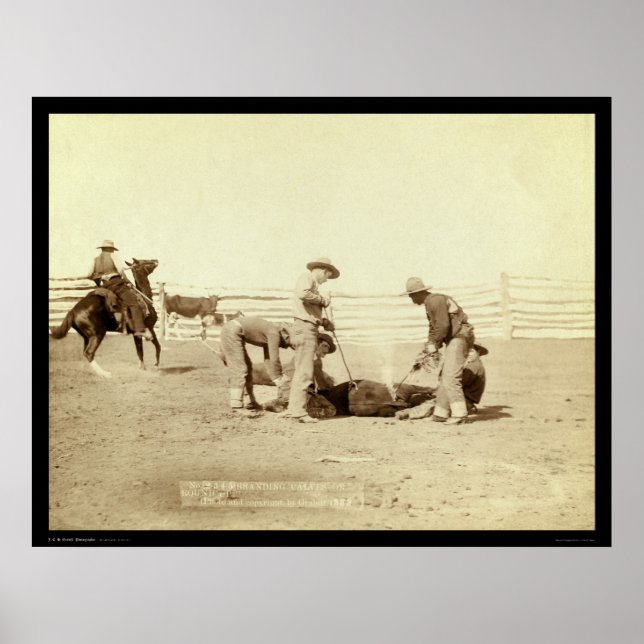 Branding Calves On Roundup SD 1888 Poster (Front)