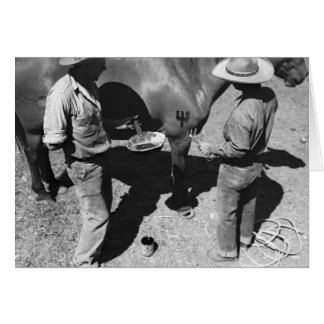 Branding horses with the pitchfork brand cards