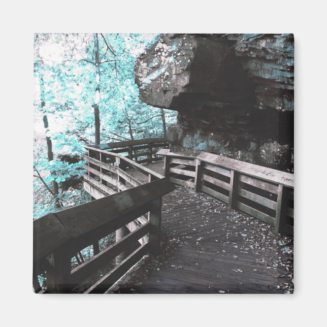 brandywine boardwalk magnet (Front)