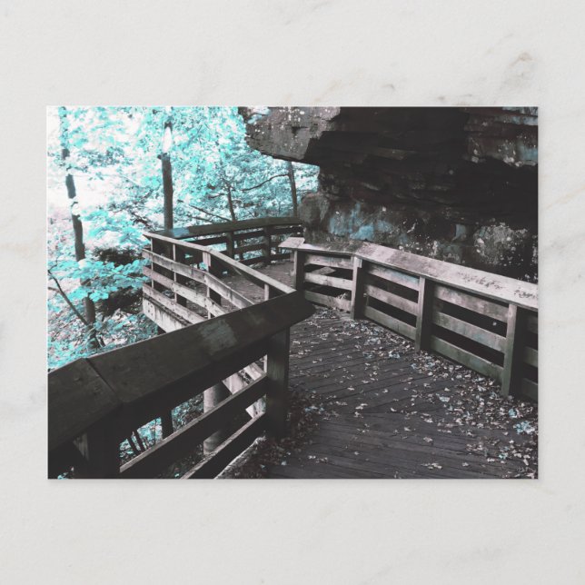 brandywine boardwalk postcard (Front)