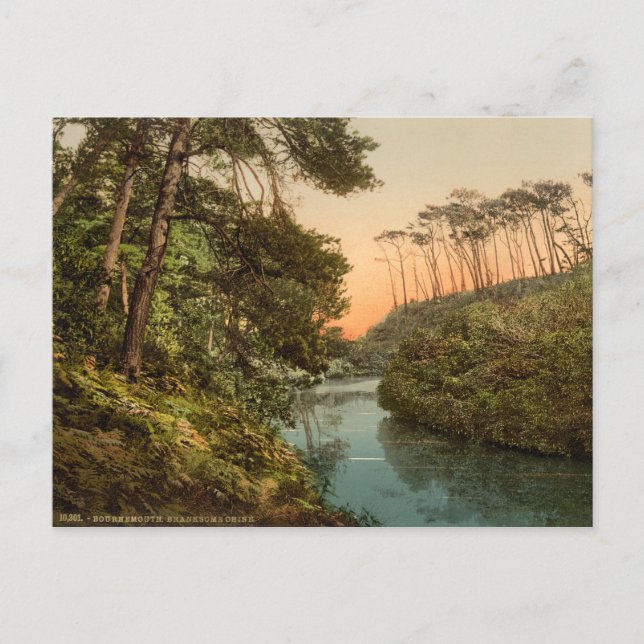 Branksome Chine, Bournemouth, Dorset, England Postcard (Front)