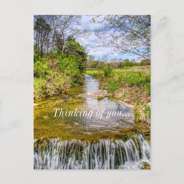 Branson Fall Creek Stream Thinking Of You Postcard (Front)