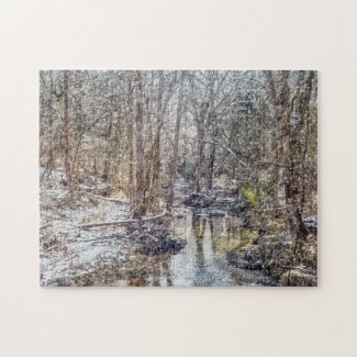 Branson Fall Creek Winter Snow Painterly