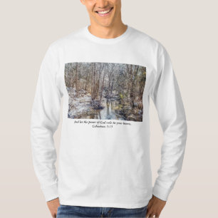 Branson Fall Creek Winter Snow Painterly Shirt