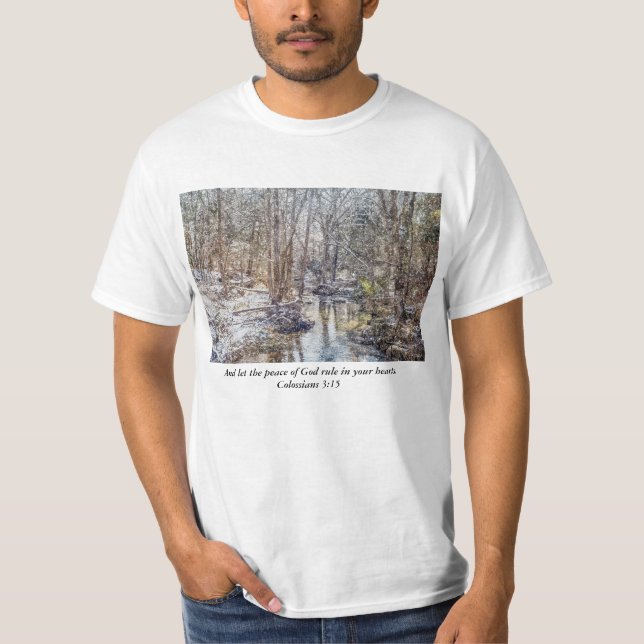Branson Fall Creek Winter Snow Painterly T-Shirt (Front)