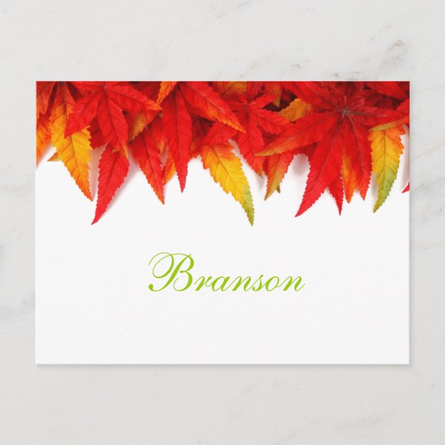 Branson Missouri Autumn Leaves Postcard (Front)
