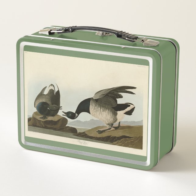 Brant Goose (Brant) from Audubon Birds of America Metal Lunch Box (Back)