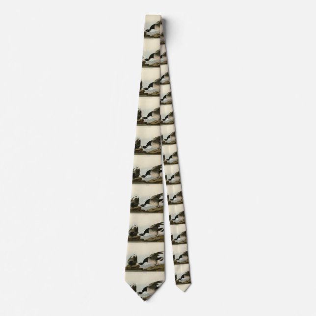 Brant Goose (Brant) from Audubon Birds of America Neck Tie (Front)
