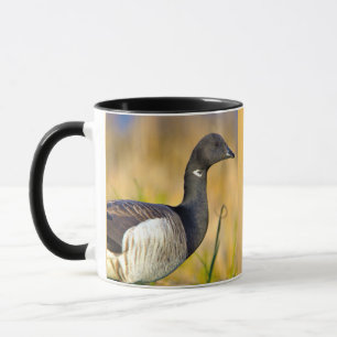 Brant Goose Mug