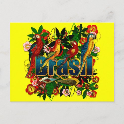 Brasil Brazil Tropical floral rainforest birds art Postcard