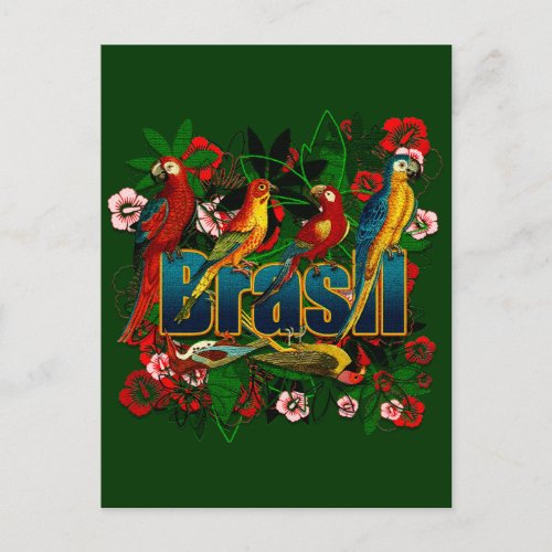 Brasil Brazil Tropical floral rainforest birds art Postcard