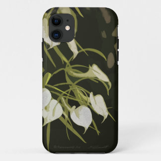 Brassavola Orchid iPhone5 Case