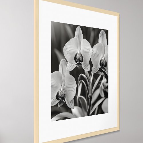 Brassia Orchids Home Decor Prints